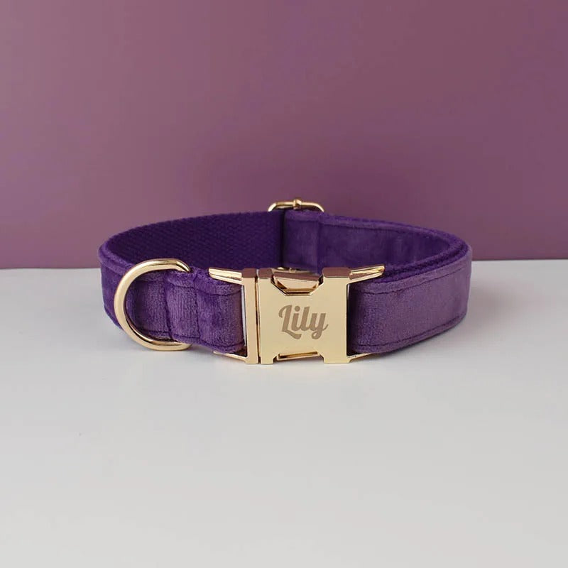 Luxury Personalized Dog Collar